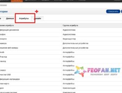 Attribute category v1.1