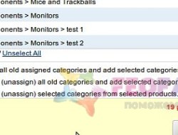 Mass products update: Categories