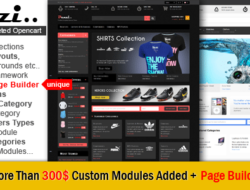 Denzi Premium Opencart Theme