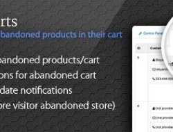 AbandonedCarts — Proved Recover Abandoned Cart