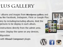 Plus Gallery v3.0.0 – A Responsive photo WP gallery and Social gallery