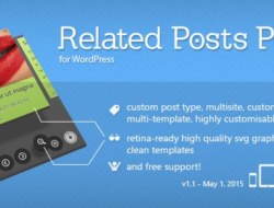 Related Posts Pro v1.1 for WordPress