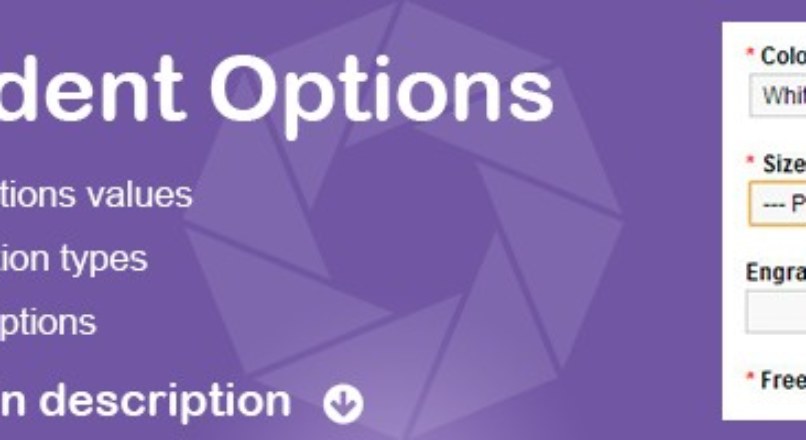 Conditional Options – Options Dependent on Another Option