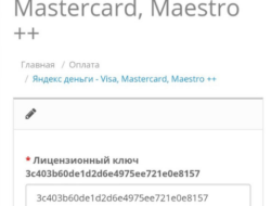 Visa, Mastercard, Я.Деньги для OC2.х nulled