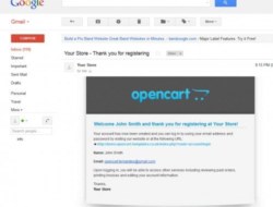 Professional HTML Email Template v.2.1.0.6