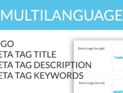 Multilanguage logo and meta data