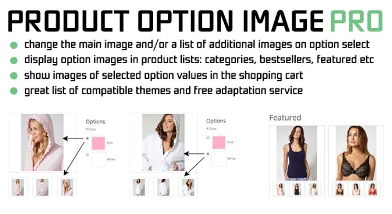 Product Option Image PRO 2,3