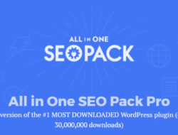 All in One SEO Pack Pro 2.5.5.1 NULLED