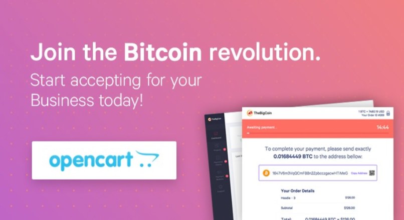 Bitcoin Payments Gateway – TheBigCoin