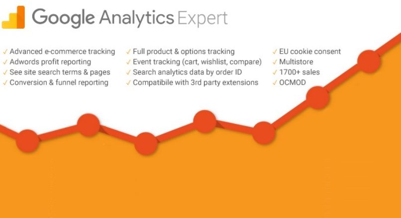 Google Analytics Expert – Advanced E-commerce Analytics Tracking