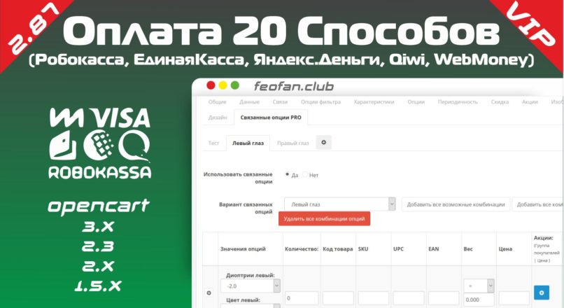 Оплата 20 способов (Робокасса, ЕдинаяКасса, Яндекс.Деньги, Qiwi, WebMoney) VIP
