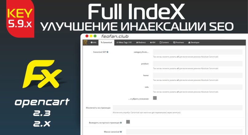 Full IndeX Улучшение индексации 5.9.x beta key